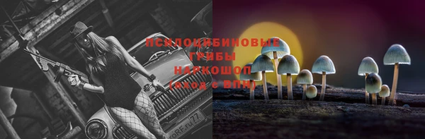 mix Арсеньев